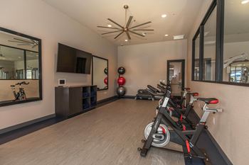 Gym equipment1